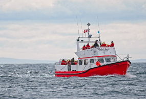 Whaler’s Quest Ocean Adventures